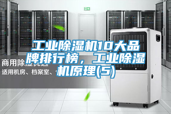 工業(yè)除濕機10大品牌排行榜，工業(yè)除濕機原理(5)
