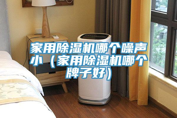 家用除濕機(jī)哪個噪聲?。矣贸凉駲C(jī)哪個牌子好）