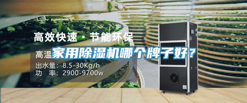 家用除濕機(jī)哪個牌子好？