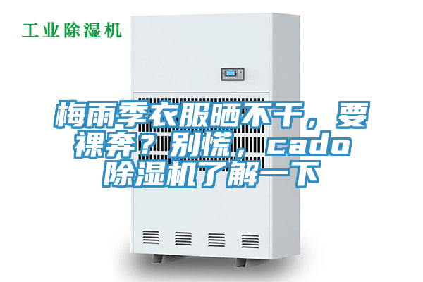 梅雨季衣服曬不干，要裸奔？別慌，cado除濕機(jī)了解一下