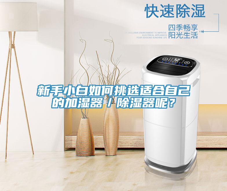 新手小白如何挑選適合自己的加濕器／除濕器呢？