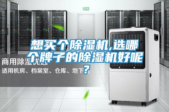 想買個(gè)除濕機(jī),選哪個(gè)牌子的除濕機(jī)好呢？