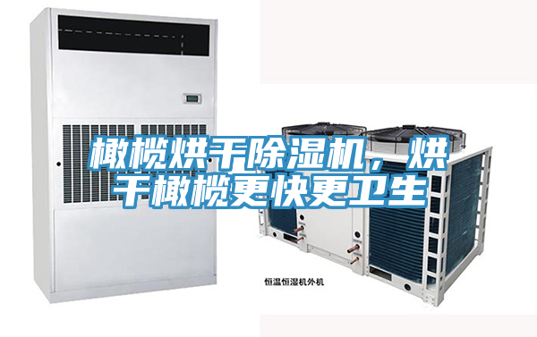 橄欖烘干除濕機(jī)，烘干橄欖更快更衛(wèi)生