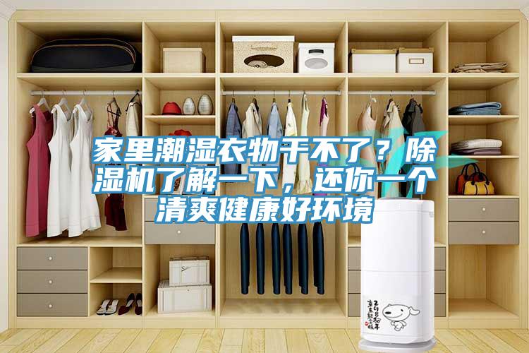 家里潮濕衣物干不了？除濕機(jī)了解一下，還你一個(gè)清爽健康好環(huán)境