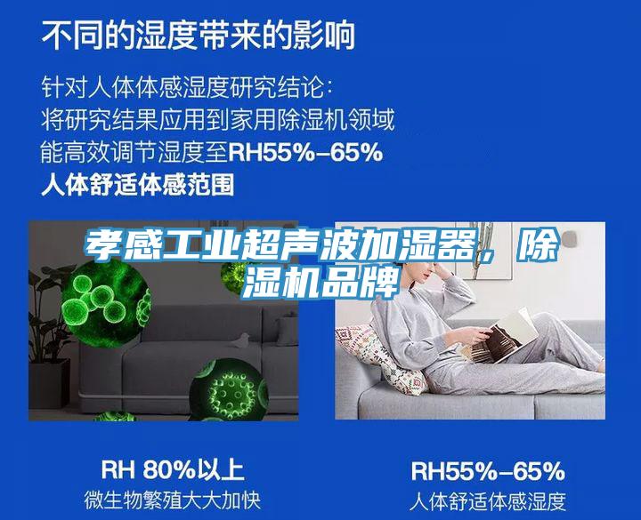 孝感工業(yè)超聲波加濕器，除濕機(jī)品牌