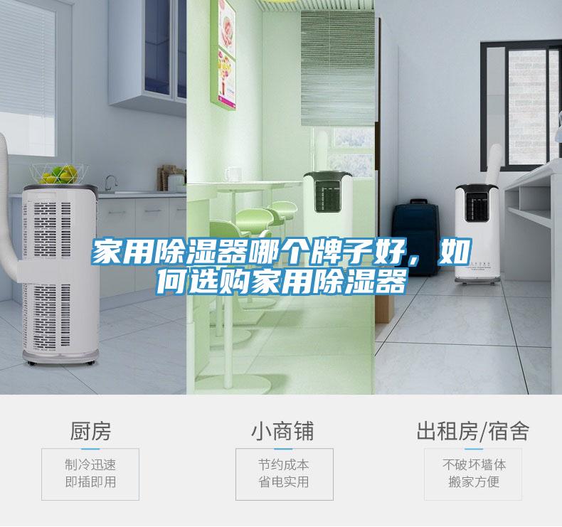 家用除濕器哪個牌子好，如何選購家用除濕器
