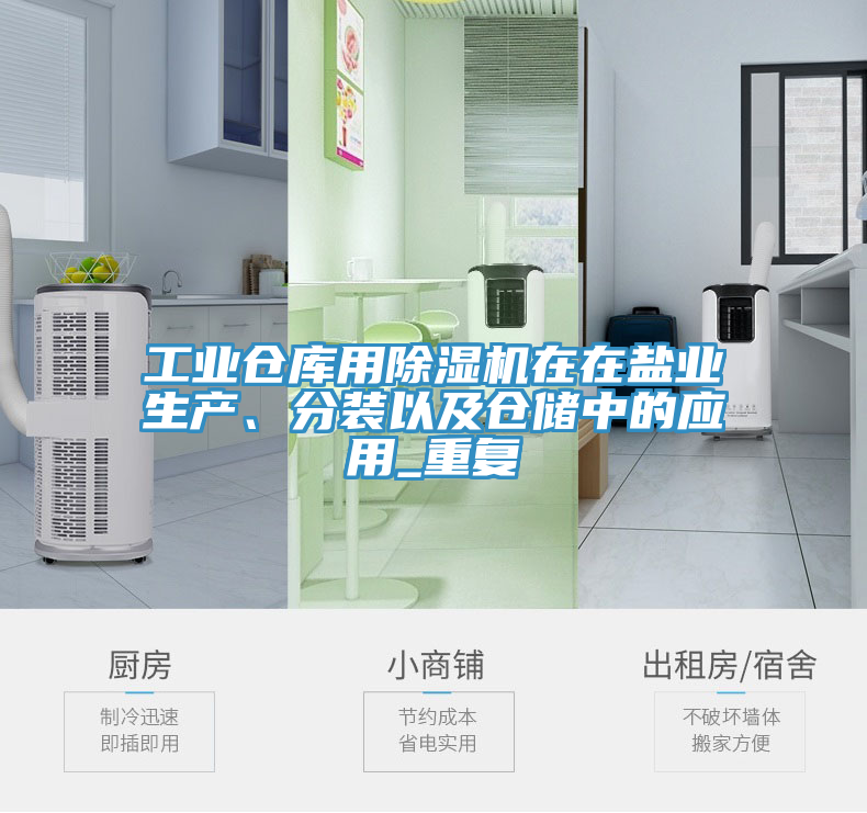 工業(yè)倉庫用除濕機在在鹽業(yè)生產、分裝以及倉儲中的應用_重復