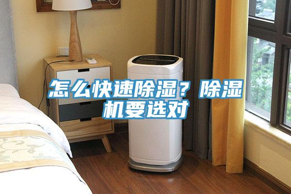 怎么快速除濕？除濕機(jī)要選對(duì)