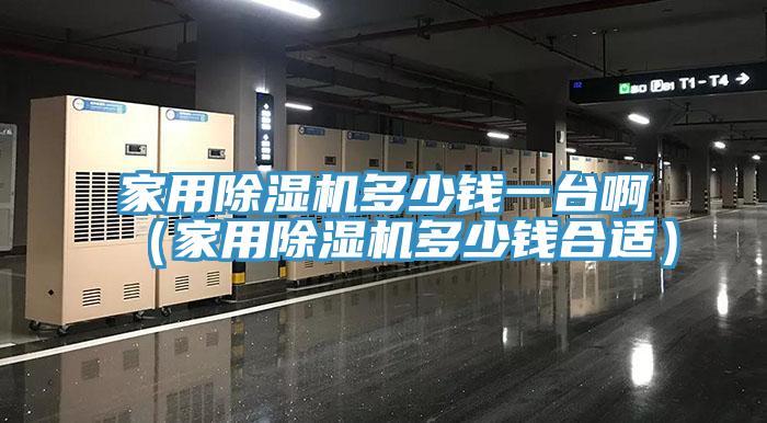 家用除濕機(jī)多少錢(qián)一臺(tái)?。矣贸凉駲C(jī)多少錢(qián)合適）