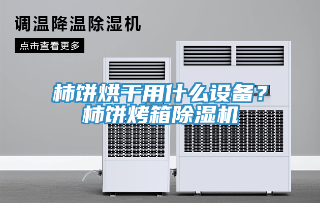 柿餅烘干用什么設(shè)備？柿餅烤箱除濕機(jī)