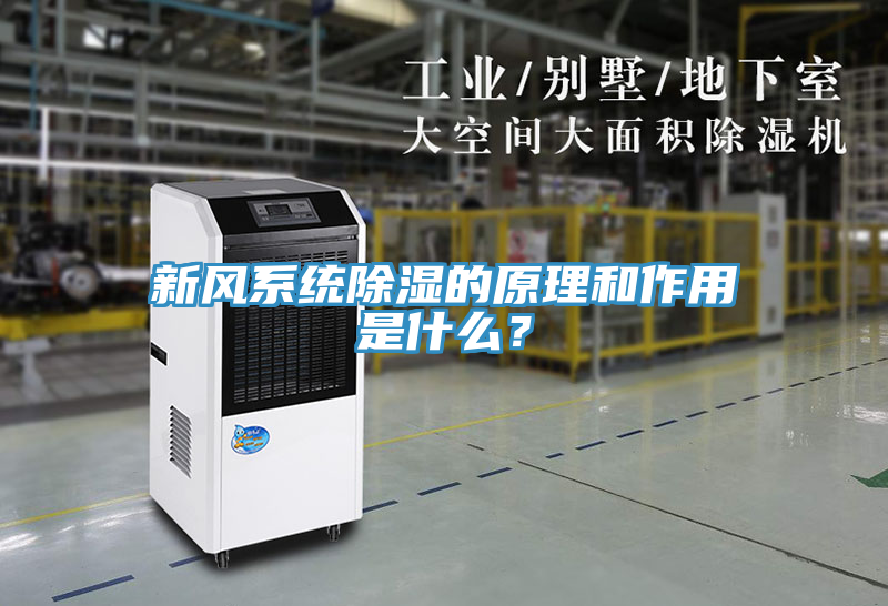 新風(fēng)系統(tǒng)除濕的原理和作用是什么？