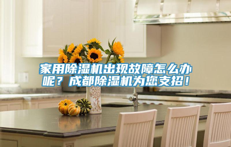 家用除濕機(jī)出現(xiàn)故障怎么辦呢？成都除濕機(jī)為您支招！