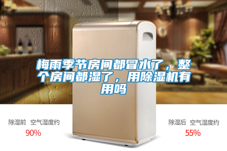 梅雨季節(jié)房間都冒水了，整個(gè)房間都濕了，用除濕機(jī)有用嗎