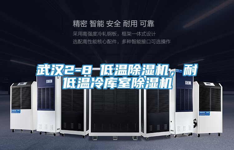 武漢2-8℃低溫除濕機(jī)，耐低溫冷庫(kù)室除濕機(jī)