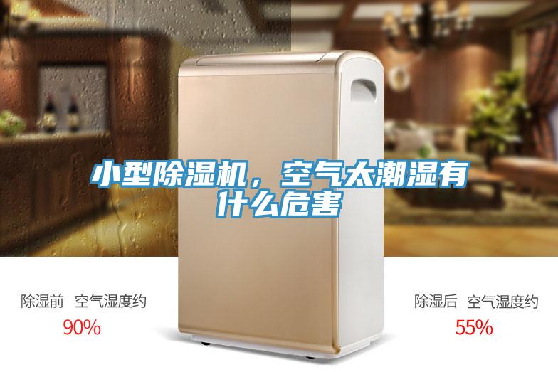 小型除濕機(jī)，空氣太潮濕有什么危害