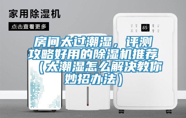 房間太過潮濕，評測攻略好用的除濕機(jī)推薦（太潮濕怎么解決教你妙招辦法）