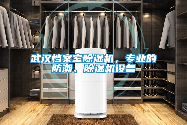 武漢檔案室除濕機(jī)，專業(yè)的防潮、除濕機(jī)設(shè)備