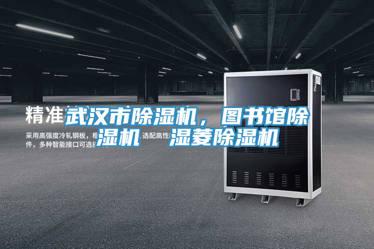 武漢市除濕機(jī)，圖書館除濕機(jī)  濕菱除濕機(jī)