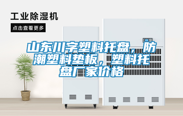 山東川字塑料托盤(pán)，防潮塑料墊板，塑料托盤(pán)廠(chǎng)家價(jià)格