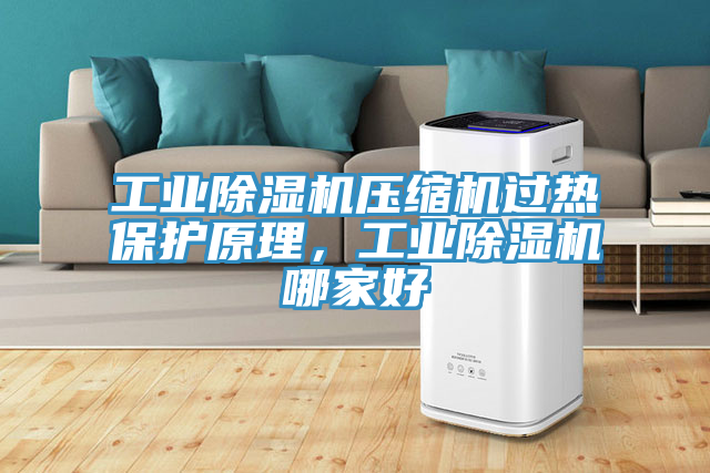 工業(yè)除濕機(jī)壓縮機(jī)過熱保護(hù)原理，工業(yè)除濕機(jī)哪家好