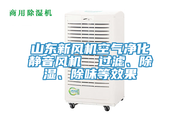 山東新風(fēng)機(jī)空氣凈化靜音風(fēng)機(jī)  過(guò)濾、除濕、除味等效果