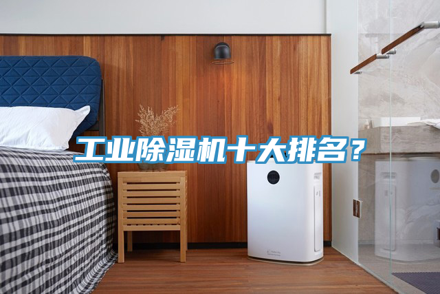 工業(yè)除濕機(jī)十大排名？