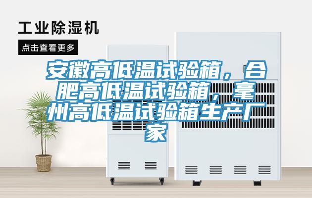 安徽高低溫試驗(yàn)箱，合肥高低溫試驗(yàn)箱，毫州高低溫試驗(yàn)箱生產(chǎn)廠家