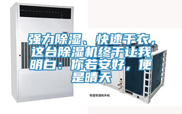 強(qiáng)力除濕、快速干衣，這臺(tái)除濕機(jī)終于讓我明白：你若安好，便是晴天