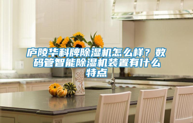 廬陵華科牌除濕機(jī)怎么樣？數(shù)碼管智能除濕機(jī)裝置有什么特點(diǎn)