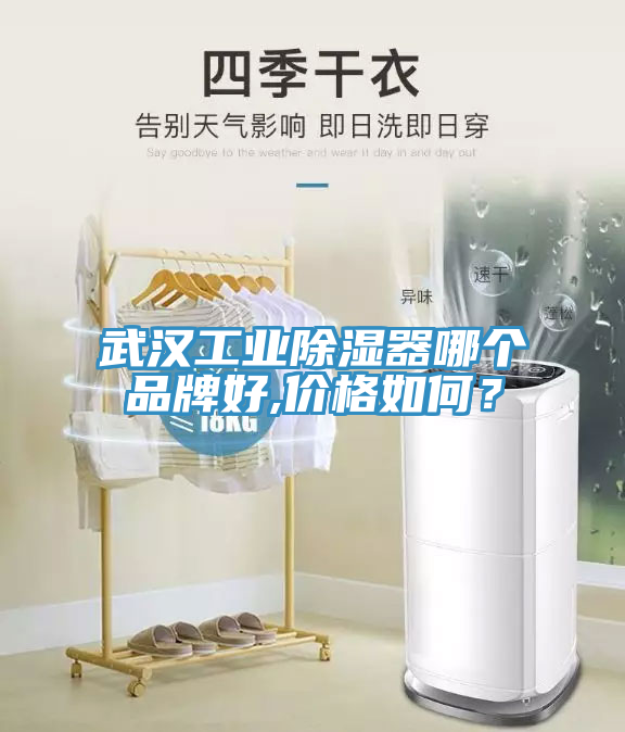 武漢工業(yè)除濕器哪個(gè)品牌好,價(jià)格如何？