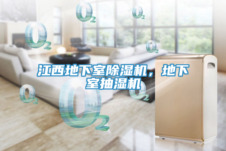 江西地下室除濕機(jī)，地下室抽濕機(jī)