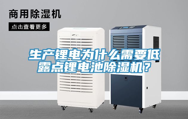 生產(chǎn)鋰電為什么需要低露點(diǎn)鋰電池除濕機(jī)？