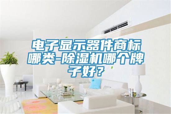 電子顯示器件商標(biāo)哪類-除濕機哪個牌子好？