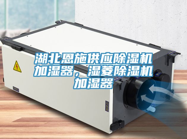 湖北恩施供應(yīng)除濕機(jī)加濕器，濕菱除濕機(jī)加濕器