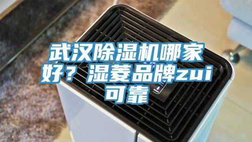 武漢除濕機(jī)哪家好？濕菱品牌zui可靠
