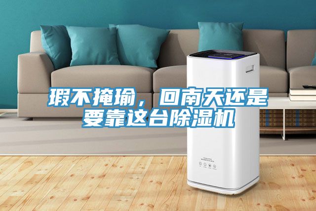 瑕不掩瑜，回南天還是要靠這臺(tái)除濕機(jī)