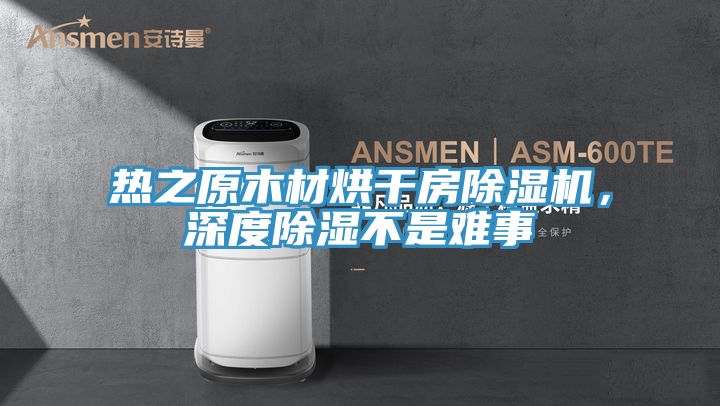 熱之原木材烘干房除濕機，深度除濕不是難事