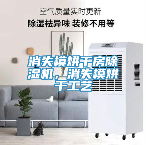 消失模烘干房除濕機，消失模烘干工藝