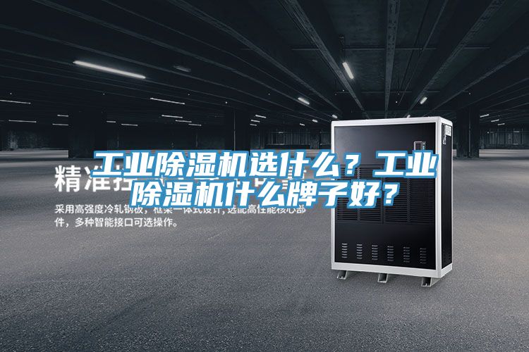 工業(yè)除濕機選什么？工業(yè)除濕機什么牌子好？
