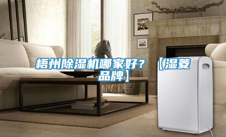 梧州除濕機(jī)哪家好？【濕菱品牌】