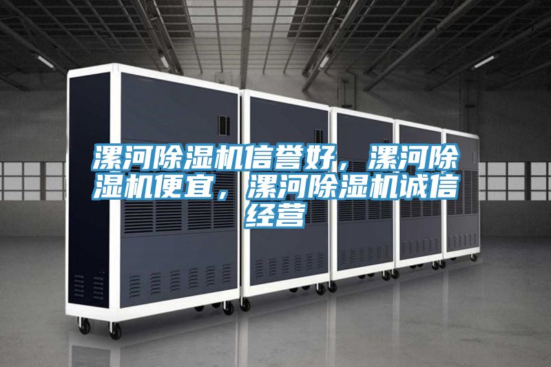 漯河除濕機(jī)信譽(yù)好，漯河除濕機(jī)便宜，漯河除濕機(jī)誠信經(jīng)營