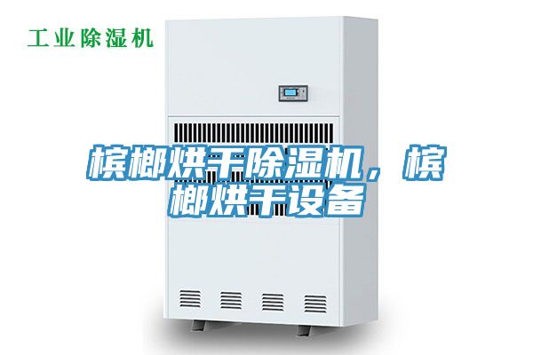 檳榔烘干除濕機(jī)，檳榔烘干設(shè)備