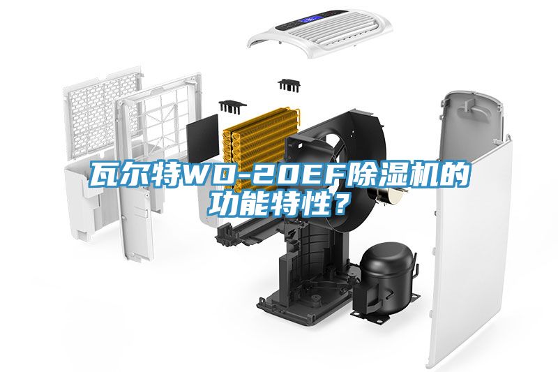 瓦爾特WD-20EF除濕機(jī)的功能特性？