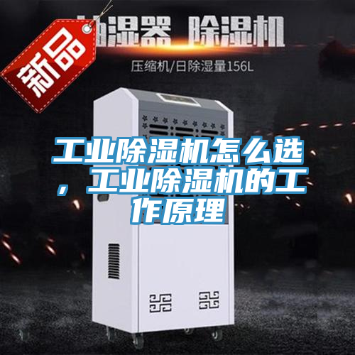工業(yè)除濕機(jī)怎么選，工業(yè)除濕機(jī)的工作原理