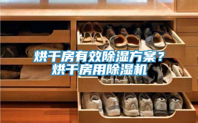 烘干房有效除濕方案？烘干房用除濕機(jī)