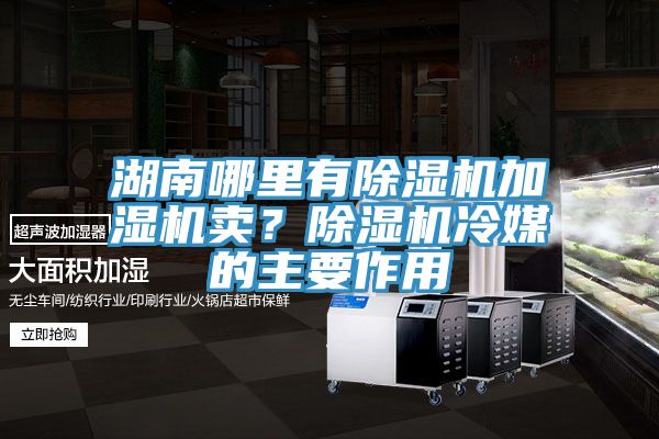 湖南哪里有除濕機(jī)加濕機(jī)賣？除濕機(jī)冷媒的主要作用