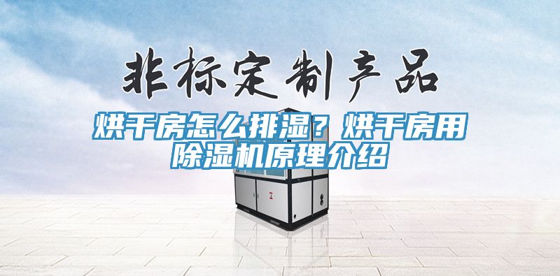 烘干房怎么排濕？烘干房用除濕機(jī)原理介紹