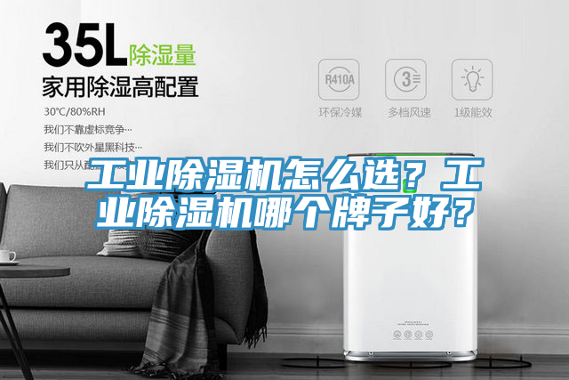 工業(yè)除濕機怎么選？工業(yè)除濕機哪個牌子好？