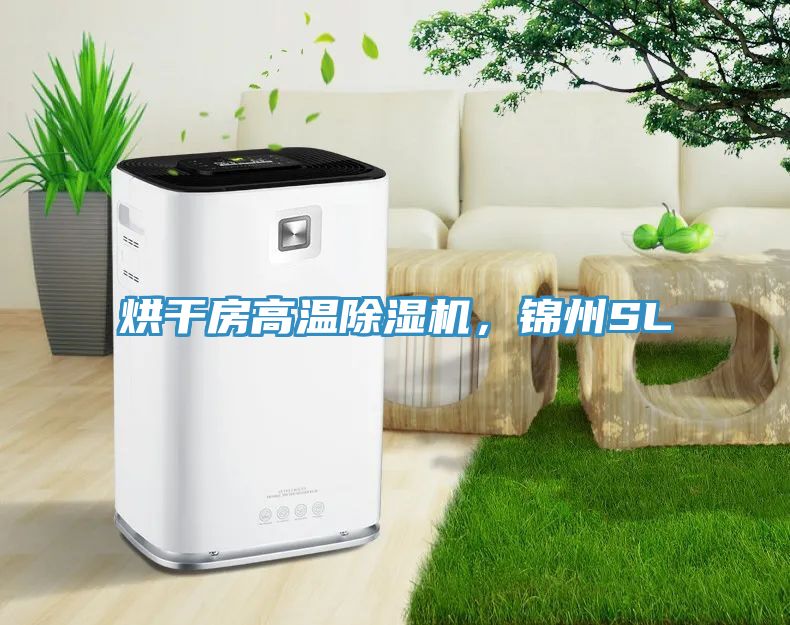 烘干房高溫除濕機(jī)，錦州SL