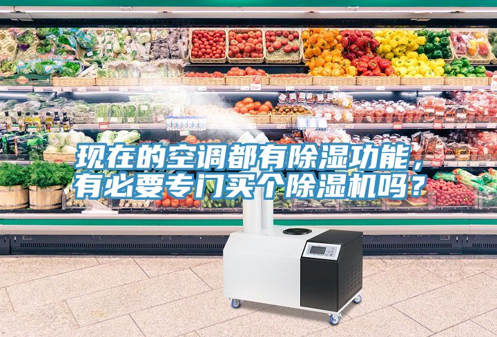 現(xiàn)在的空調(diào)都有除濕功能，有必要專門買個(gè)除濕機(jī)嗎？